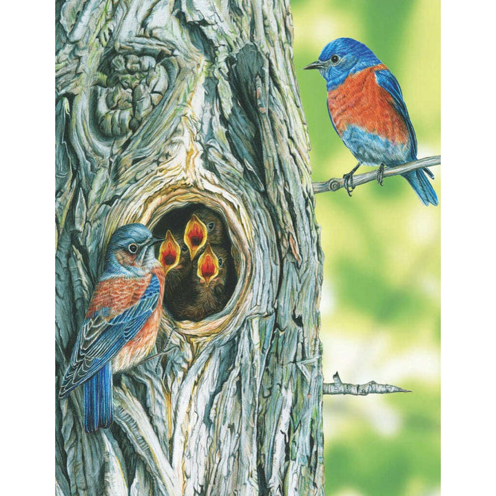 Western Bluebird Mini Jigsaw Puzzle