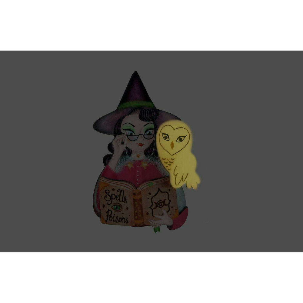 Witch with Owl Halloween Brooch by Laliblue - Quirks!