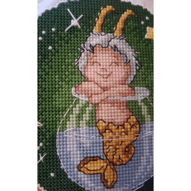 Zodiac Signs. Capricorn SR-704 Plastic Canvas Counted Cross Stitch Kit