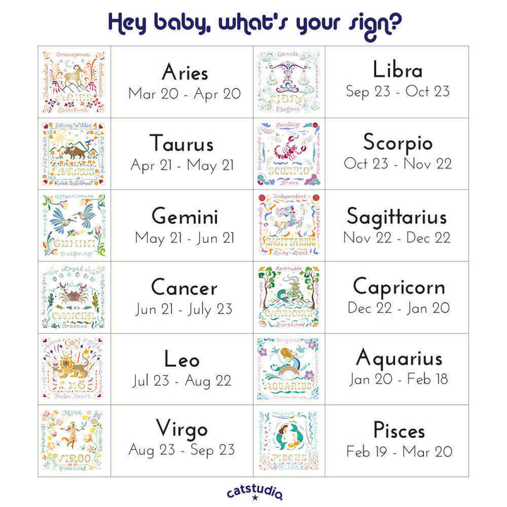 Aquarius Astrology Hand-Embroidered Pillow by Cat Studio