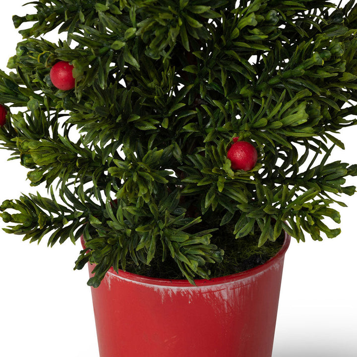 Mini Spruce Tree in Red Bucket by Park Hill