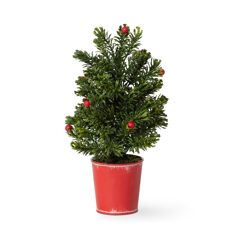 Mini Spruce Tree in Red Bucket by Park Hill